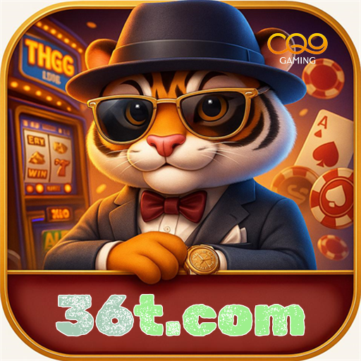 36t.com